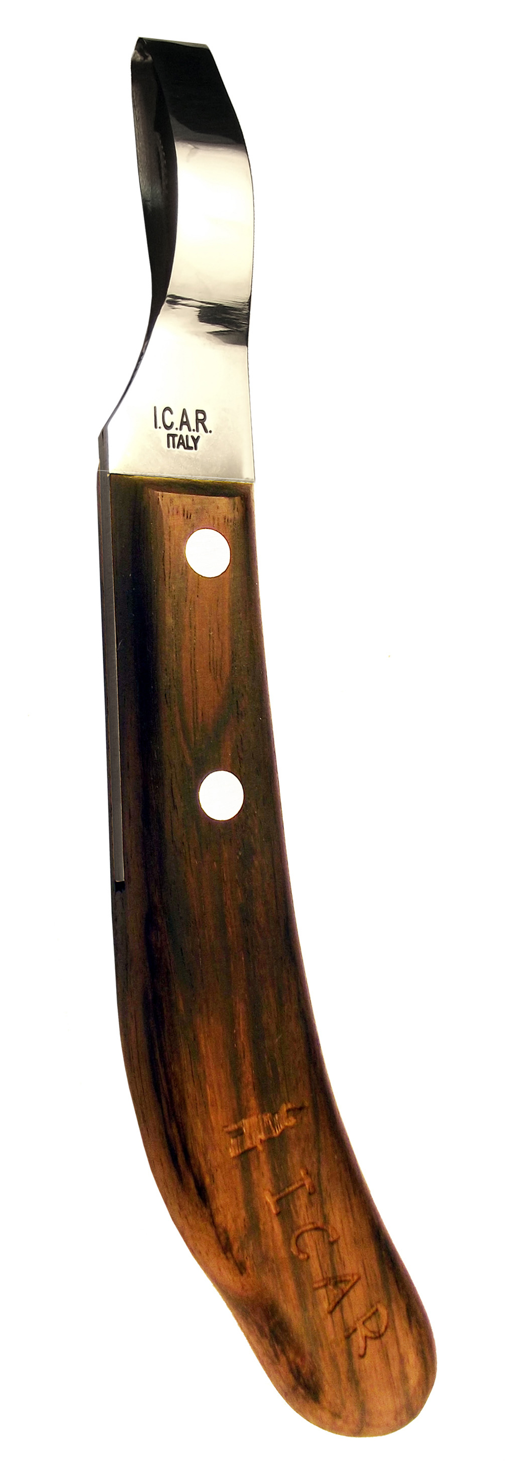 ICAR - Loop Knife